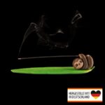 Räucherstäbchenhalter Faultier - Entspannung im Sloth-Stil