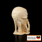 Totenkopf Trio Figur - Mystische Deko für Dein Zuhause - Ansicht | 3D-Druck