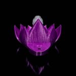 Backflow Räucherkegel Buddha Lotus – 3D-Druck Made in Germany