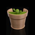 Tischlampe „Kaktus“ Wandlicht – 3D-Druck Made in Germany