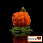 Luftbefeuchter Halloween Kürbis - Stilvolle Feuchtigkeitsquelle