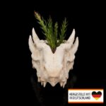 Detailaufnahme des Pflanztopfs in Tierschädelform