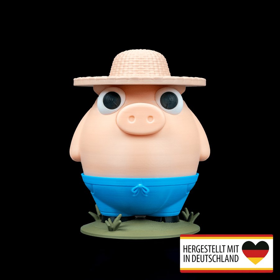 Spardose Schweinchen - Dein niedlicher Sparhelfer