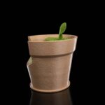 Tischlampe „Monstera“ Wandlicht – 3D-Druck Made in Germany