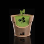 Tischlampe „Monstera“ Wandlicht – 3D-Druck Made in Germany