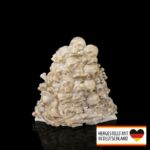 Totenkopf Handyhalter Totenkopf Thron - Majestätischer Blickfang für dein Handy